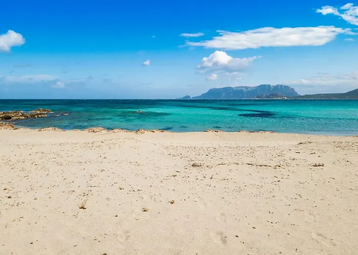Lägenhetshotell Le Dimore Di Nettuno