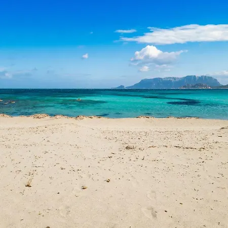 شقة فندقية Le Dimore Di Nettuno